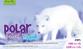 Polar White ขาวสุดขั้ว